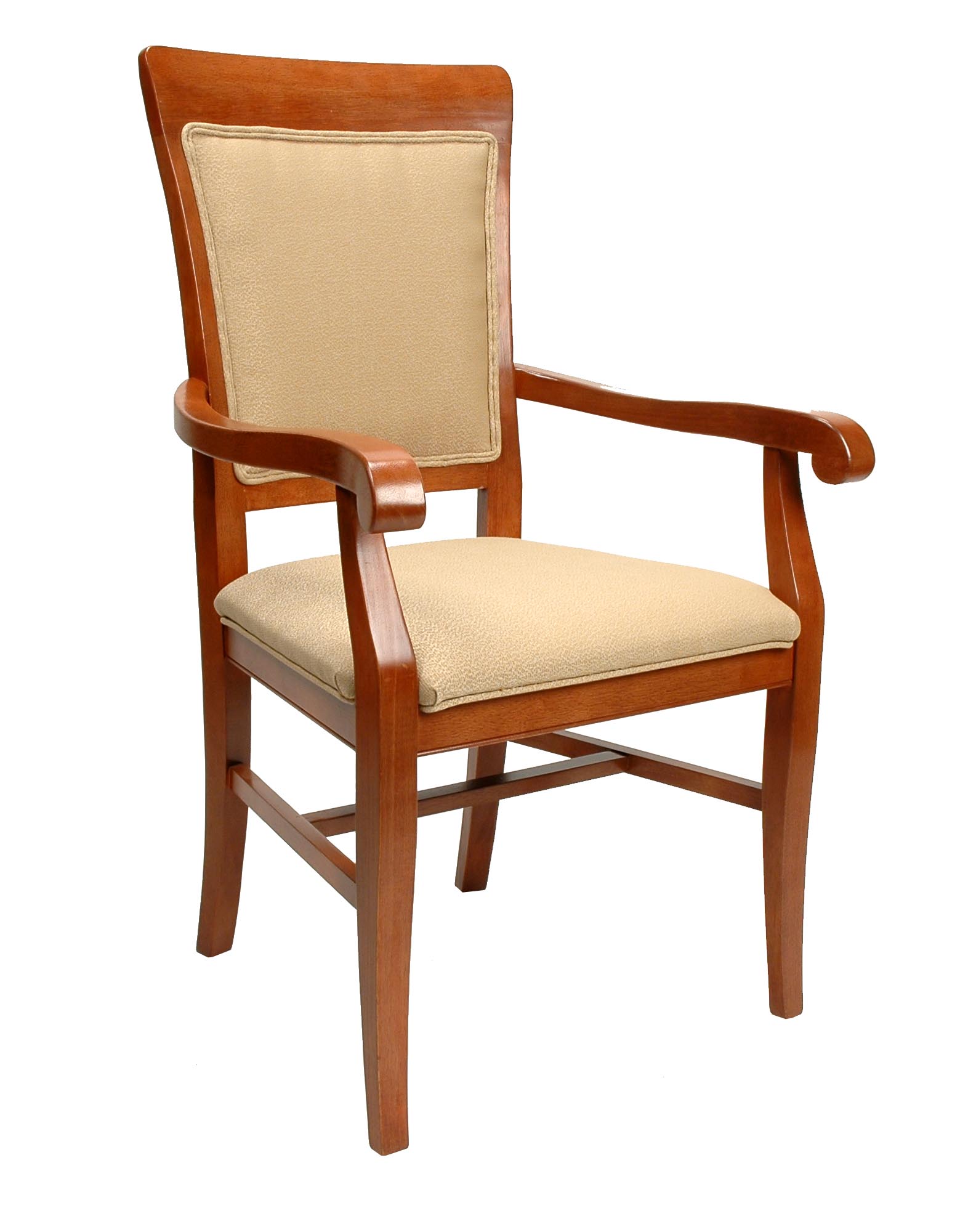 Contemporary Curved Arm Chair